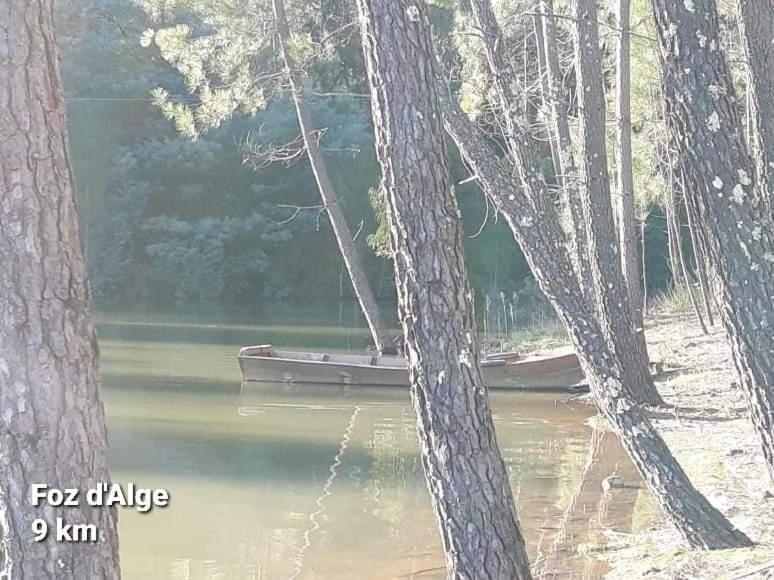 Casa Da Vila Figueiro Dos Vinhos Buitenkant foto