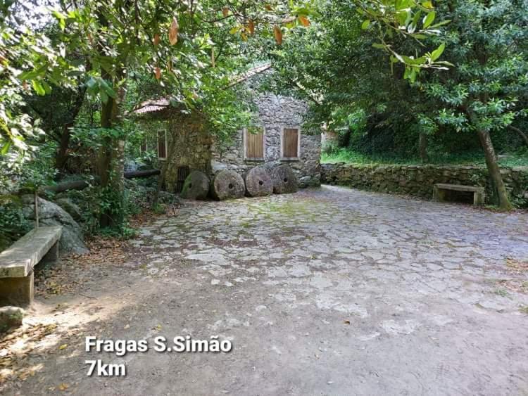 Casa Da Vila Figueiro Dos Vinhos Buitenkant foto